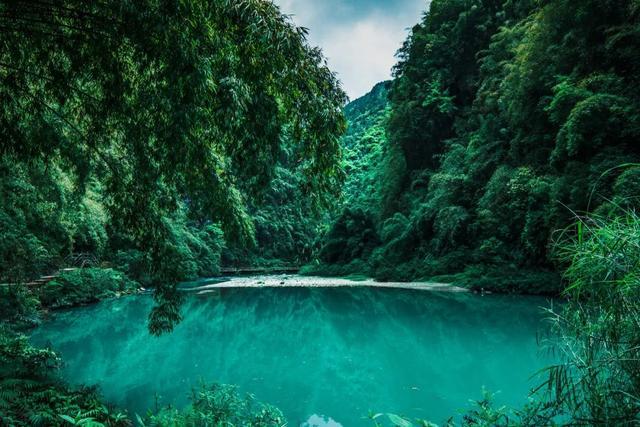 沪江开心词场